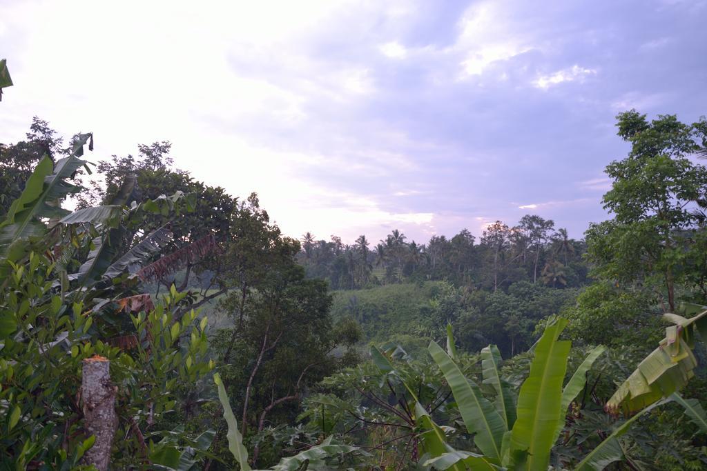 Pondok Bali Убуд Экстерьер фото